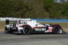 Klaus Graf - Pickett Racing - Honda ARX-03c